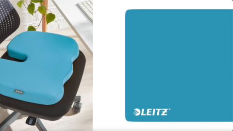 Leitz Cosy Ergo Destek Minderi- Seat Cushion Gri