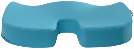 Leitz Cosy Ergo Destek Minderi- Seat Cushion Mavi