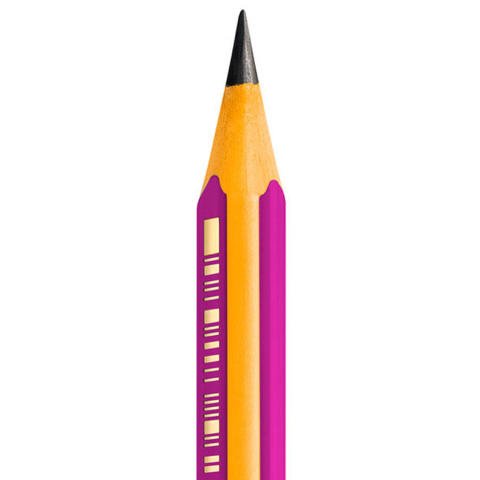 Bic Kids Evolution Başlangıç Kalemi Pembe Gövde