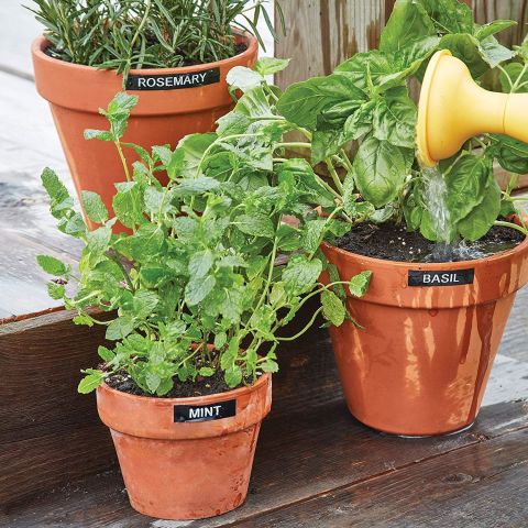 Dymo Etiket Makinesi Lm 160p Promosyon Set 2142267 (+3 Adet D1 Şerit)