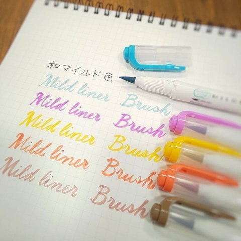 Zebra Mildliner Çift Uçlu Brush Pen 5 Renk WFT8-N-5C