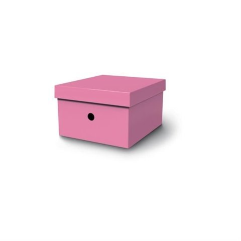 Mas 8224 Rainbow Karton Küçük Boy Kutu Pembe