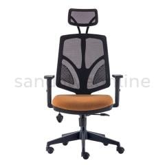 Aşir Office Desk Chair