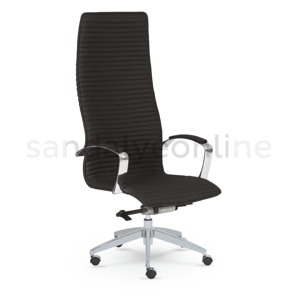Frame Executive Chair