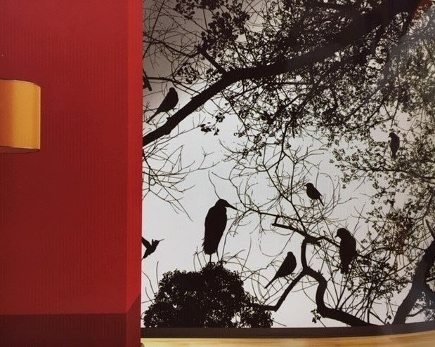 indirimli Kuşlu ağaç dalı Duvar posteri -T3502-(Eni 3.50 x 2.80 m (7 parça hazır