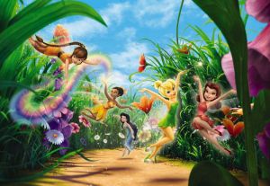 Komar 8-466 Fairies Meadow Posteri Alman
