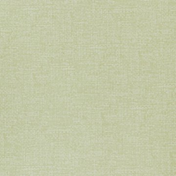 1623-7 Anka Duvar Kağıdı düz yeşil-desensiz