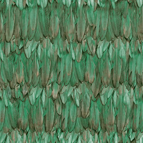 Tropicano 9913-4-doğal-yeşil renkli-kuş kanadı-tüylü-modern-desenli-fon