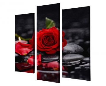 Romantik Kırmızı Gül Kanvas Tablo