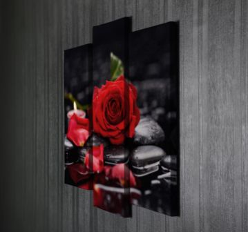 Romantik Kırmızı Gül Kanvas Tablo