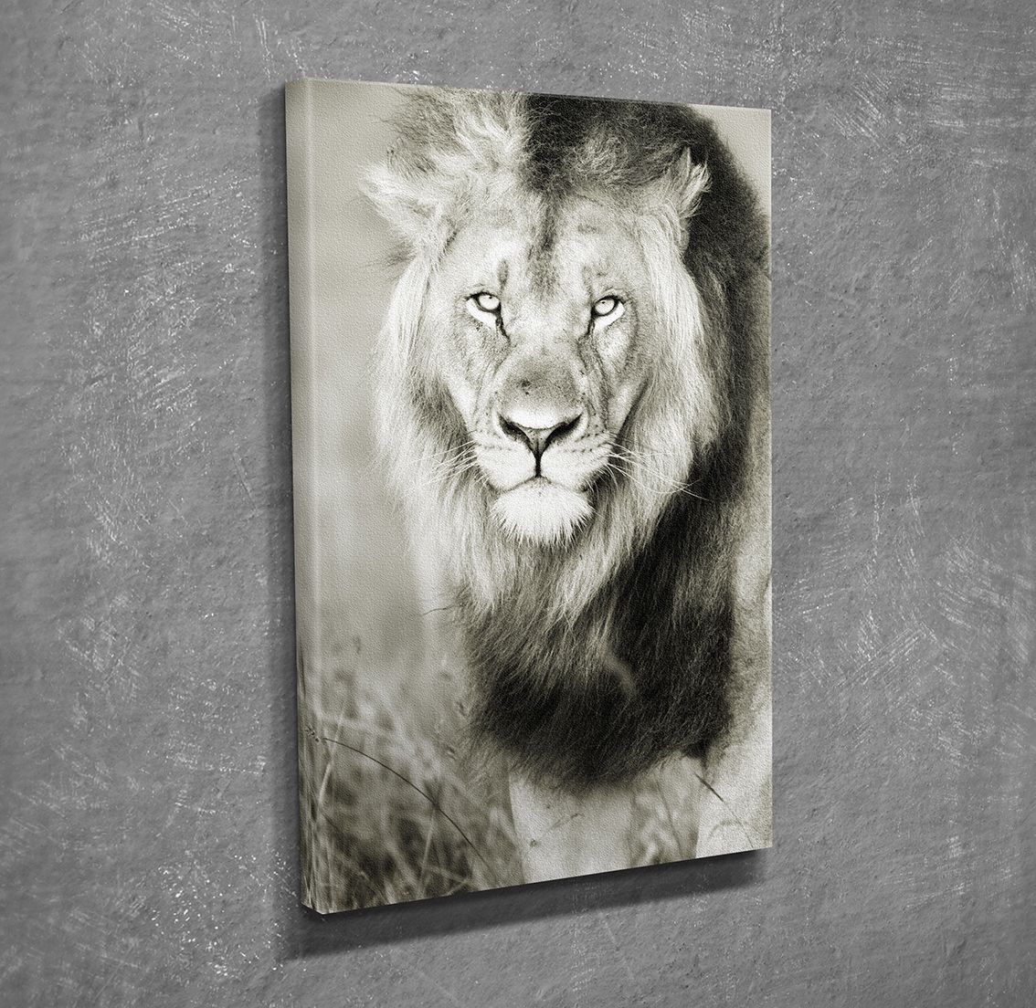 Aslan Kanvas Tablo