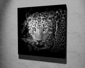 Jaguar Kanvas Tablo