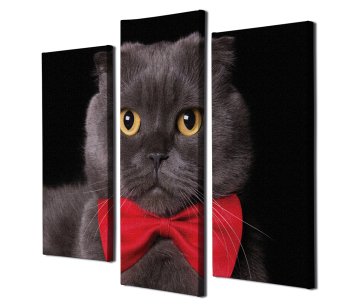 Kırmızı Papyonlu Kedi Kanvas Tablo
