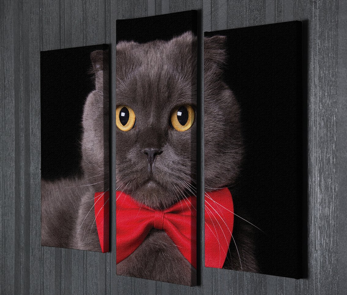 Kırmızı Papyonlu Kedi Kanvas Tablo