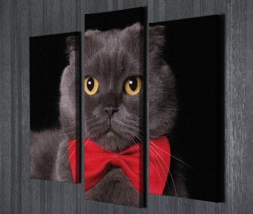 Kırmızı Papyonlu Kedi Kanvas Tablo