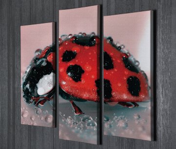 Uğur Böceği Kanvas Tablo