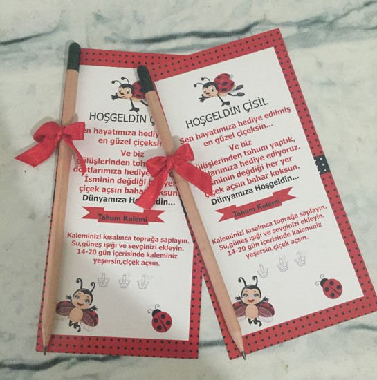 Uğur Böceği Temalı Kişiye Özel Tohum Kalemi 6 Adet