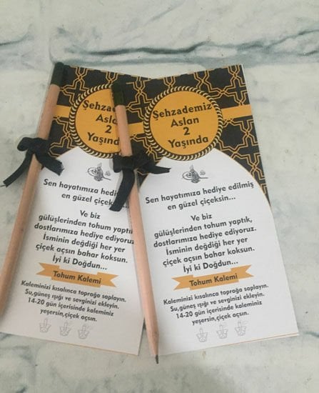 Şehzade 2 Temalı Kişiye Özel Tohum Kalemi 6 Adet