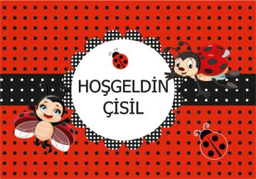 Uğur Böceği Temalı Kişiye Özel Magnet 10 Adet