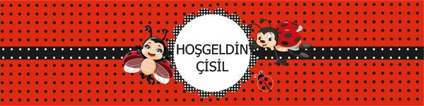 Uğur Böceği Temalı Kişiye Özel Peçete Sargısı 6 Adet