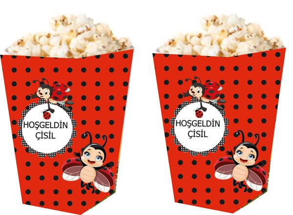 Uğur Böceği Temalı Kişiye Özel Popcorn Kutusu 6 Adet