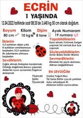 Uğur Böceği Temalı Kişiye Özel Anı Magneti 1 Adet