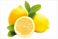 Limon Ayaklı Pano 1  42 cm