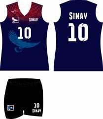 VOLEYBOL FORMASI