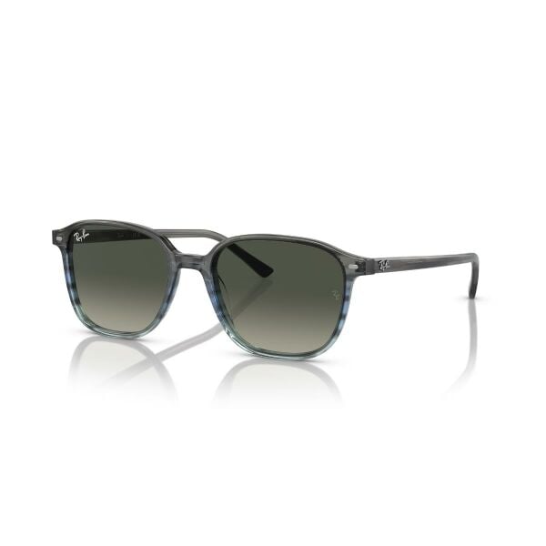 RB 2193 138171 53 Ray-Ban LEONARD Polarize Güneş Gözlüğü