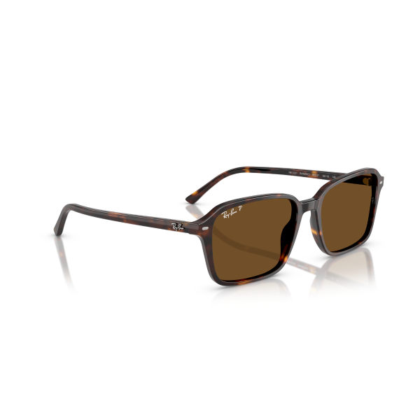 RB 2231 902/57 56 Ray-Ban RAIMOND Polarize Güneş Gözlüğü