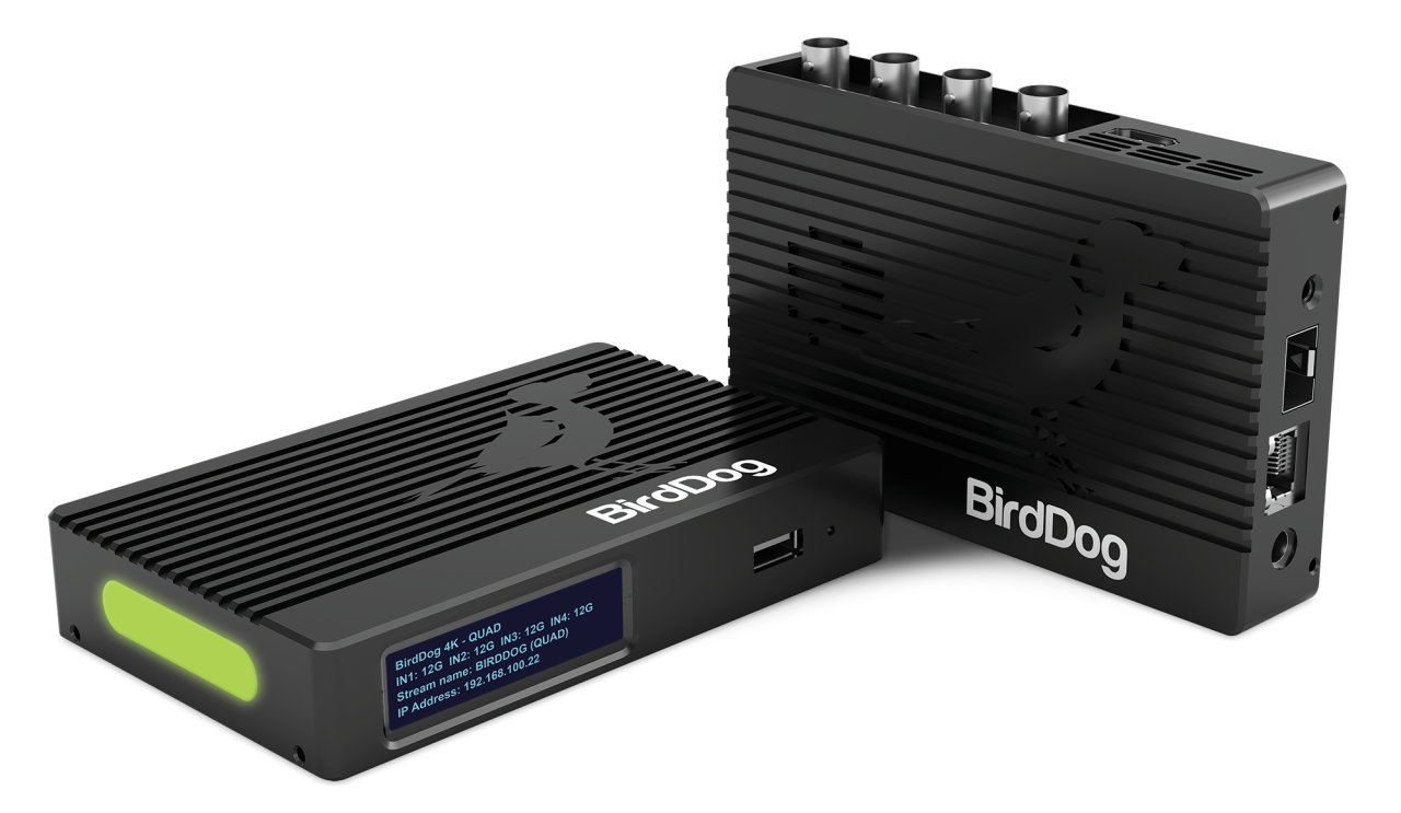 BirdDog 4K Quad NDI Encoder/Decorder