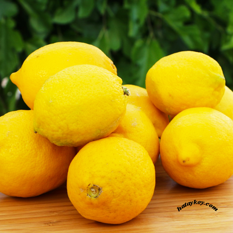 Limon (3000 Gr.)