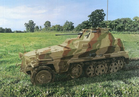 Dragon 6882 1/35 Sd.Kfz.250/9 Ausf.A le.S.P.W. (2cm) Yarı Paletli Askeri Araç Demonte Plastik Maketi
