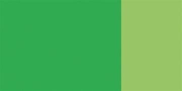 Schmincke 560 Light Green HKS Designers' Gouache Boya 20 ml