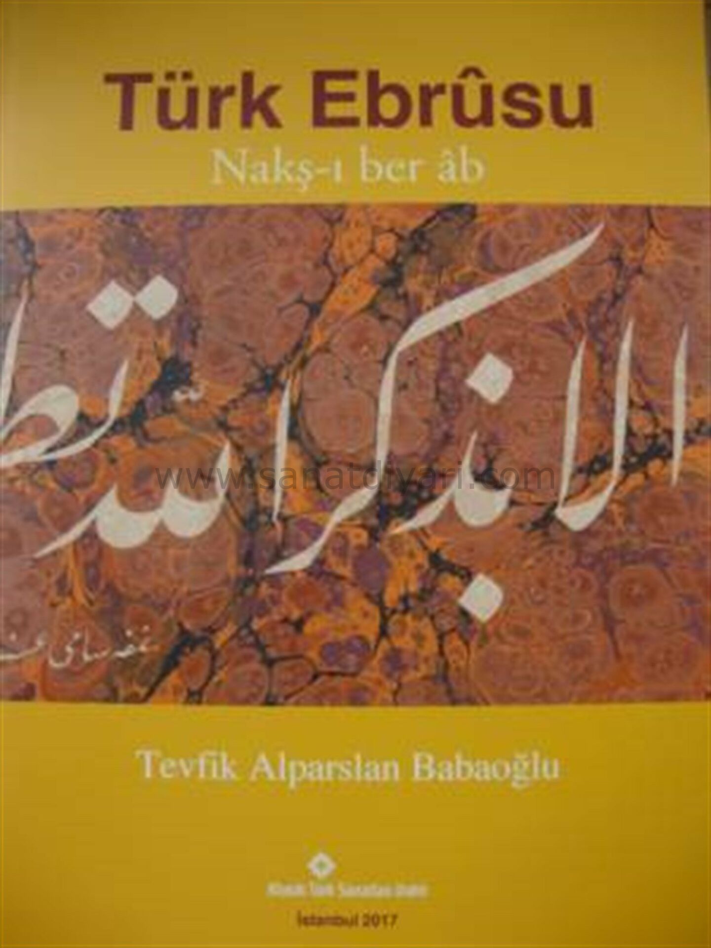 TÜRK EBRUSU NAKŞ-I BER AB - T. Alparslan Babaoğlu