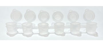 6'Lı Plastik Kapaklı Hokka (3 mm)