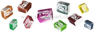 RENESANS Sulu Boya Travel Box 24 Renk 1/2
