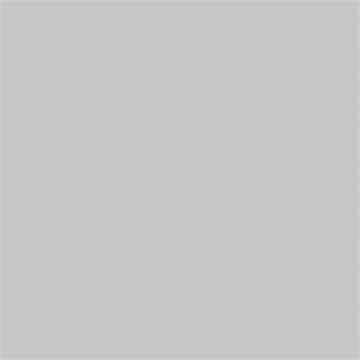 Talens Guaj Boya 16 ml 717 Cold Grey