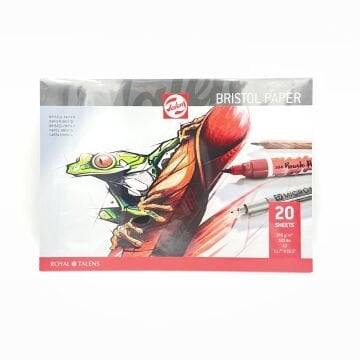 Talens BRİSTOL paper 246 GR 29,7CMX42CM 20 YAPRAK A3 C030185