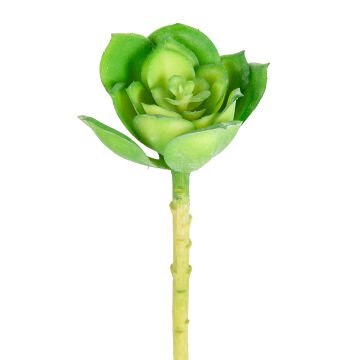 Yapay Kaktüs Sukulent Yeşil 14 Cm.