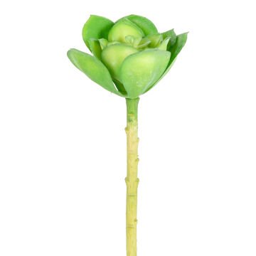 Yapay Kaktüs Sukulent Yeşil 14 Cm.