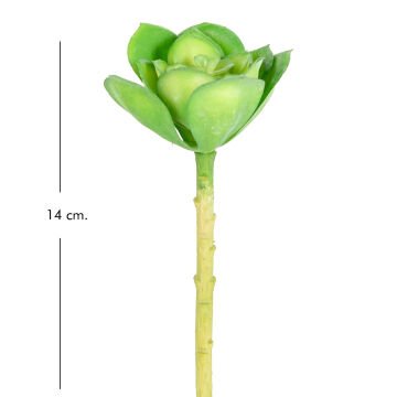Yapay Kaktüs Sukulent Yeşil 14 Cm.