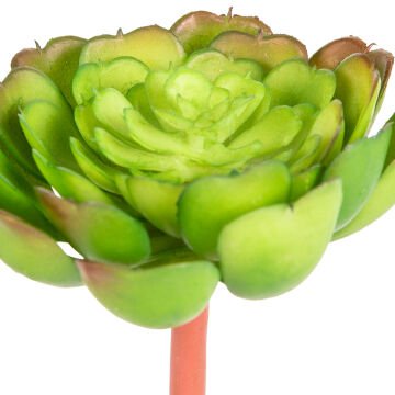 Yapay Kaktüs Sukulent Yeşil 12 Cm.