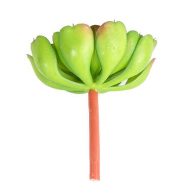 Yapay Kaktüs Sukulent Yeşil 12 Cm.