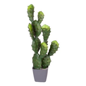 Yapay Kaktüs Saksılı 2 Gövde 72 Cm.