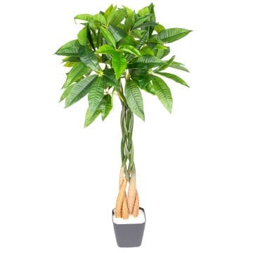 Yapay Fortune Gerçek Dokulu 98 Cm.