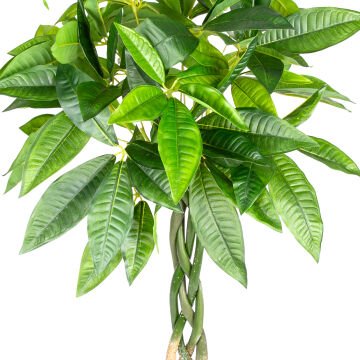 Yapay Fortune Gerçek Dokulu 98 Cm.