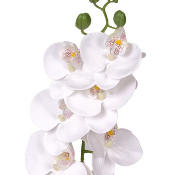 Yapay Çiçek Orkide Gerçek Dokunuş Beyaz 95 Cm.