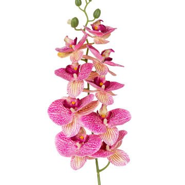 Yapay Orkide Gerçek Dokunuş Fuşya 95 Cm.