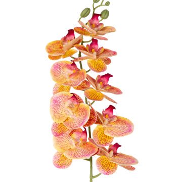 Yapay Orkide Gerçek Dokunuş Pembe-Sarı 95 Cm.
